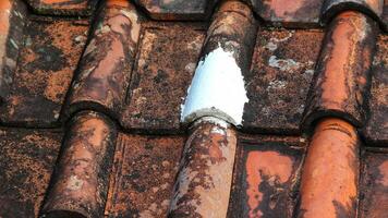 House tiles that are painted are leak-proof so that water doesn't seep in. photo