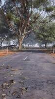 un' panoramico strada con alberi e un' recinto nel il sfondo video