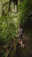 menina dentro uma camiseta em pé dentro a meio do a floresta tropical em uma caminho, vertical video