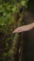 female hand holds on bamboo railing in forest, hand tapping, vertical video