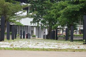 Pedestrian path in a park. photo