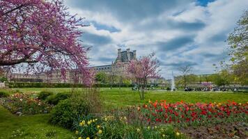 floreciente primavera jardín en París con vibrante tulipanes y Cereza flores, con el lumbrera museo en el antecedentes Perfecto para primavera y Pascua de Resurrección temas foto