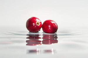 pair of cranberries floating in water, vibrant red on a white background photo