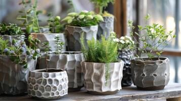 un colección de Hecho a mano cerámico jardineras cada con un diferente textura impreso en el superficie dando ellos un Único en su clase apelar. foto