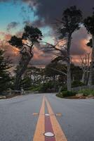 Scenic view of winding road, 17 Mile Drive, California photo