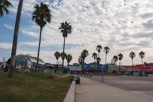 sereno Venecia playa escena con icónico palma árboles, nublado cielo foto