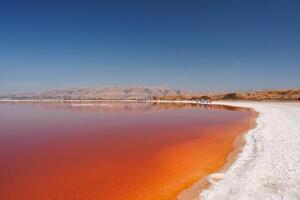 vibrante rosado lago con blanco apuntalar y montaña vista, alviso, California foto