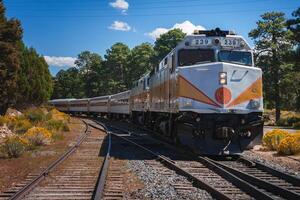 Diesel Locomotive 239 Pulls Colorful Passenger Train along Railroad Tracks, Sunny Day Scene. photo