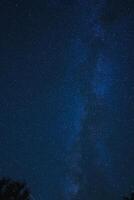 noche cielo lleno con estrellas, lechoso camino galaxia visible, oscuro azul cielo con arboles silueteado. foto