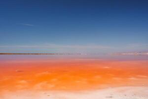 Vibrant Pink Lake with Clear Blue Sky, Alviso Pink Lake Park, California photo