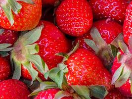 Strawberry. Fresh organic berries. Close-up. Fruit background. Healthy eating concept photo