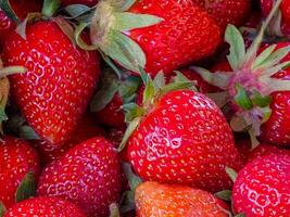 Strawberry. Fresh organic berries. Close-up. Fruit background. Healthy eating concept photo