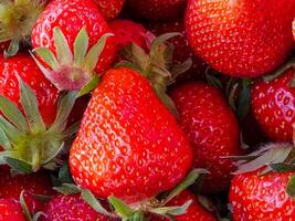 Strawberry. Fresh organic berries. Close-up. Fruit background. Healthy eating concept photo