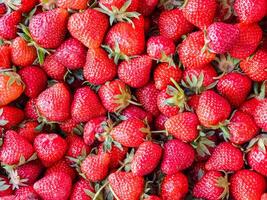 Strawberry. Fresh organic berries. Close-up. Fruit background. Healthy eating concept photo