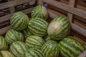 Watermelons in the wooden container on supermarket shelf. watermelon on street market. Summer Fruits for healthy diet. Fresh organic water melon fruit for sale in grocery store. Selective focus photo