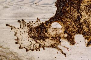 Coffee stains on white wooden table. Wood texture background. Big dark brown dramatic Splatter, fleck, splash, spot, drops of black coffee. Pattern, wallpaper. Top view. Closeup. Copy space. photo