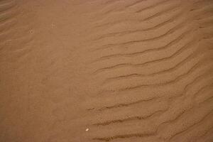 mojado arena con mar agua en un todo antecedentes. vacío ondulado arenoso mar abajo. exótico arenoso Oceano playa superficie. parte superior vista. textura y ola de negro arena playa durante bajo marea horas en un caliente verano día foto