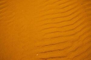 Wet sand with sea water on a whole background. Empty wavy sandy sea bottom. Exotic Sandy Ocean beach surface. Top view. Texture and Wave of Black Sand Beach During Low Tide Hours on A Hot Summer Day photo