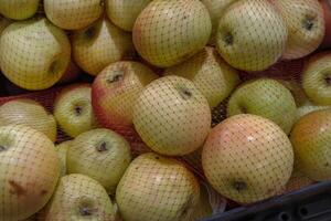 Fresh green and red apples in red plastic shopping net. Fruits arranged in the grocery store on the counter. Apples pile on food market rack. Variety of fruits sold in the food shop. Close-up. photo