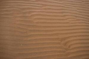 Seamless wet sand with sea water on a whole background. Empty wavy sandy sea bottom. Exotic Sandy Ocean beach surface. Top view. Simple, minimalistic photo. Ideal concept for banner, poster, ads. photo