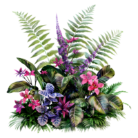 3D Rendering of a Fern Plant on Transparent Background png