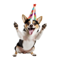 Cute and happy dog on transparent background , easy to use. png