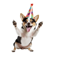 Cute and happy dog on transparent background , easy to use. png