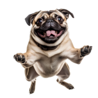 Cute and happy dog on transparent background , easy to use. png