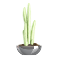 Pilosocereus cactus plant on isolated canvas png