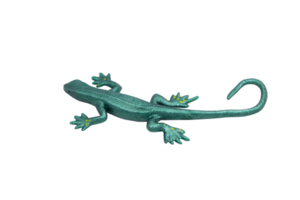 Green rubber lizard toy with no background. Stretchable toy. Anti-stress. Horizontal photo. For text. png