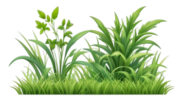 grass clipart transparent background png