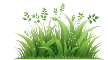 grass clipart transparent background png