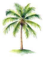 aguarela Palma árvore clipart png