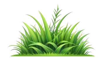 Gras Clip Art transparent Hintergrund png