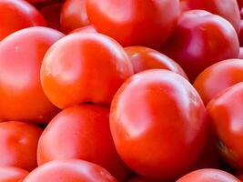 Tomatoes. Fresh organic vegetables. Close-up. Healthy eating concept photo