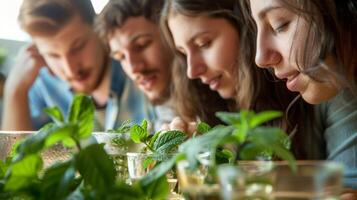 A group of people leaning in to smell the aroma of a freshly brewed herbal infusion made with mint and lemon balm photo