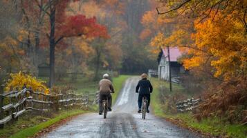 A scenic ride through retirement as this couple takes a break from their busy lives and cruises along a peaceful country road on their bicycles photo