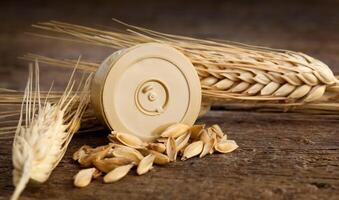 Pods of barley photo