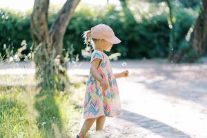 pequeño niña con un diente de león en su mano camina a lo largo el camino en el parque. lado ver foto