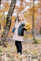 Little girl with a bouquet of yellow leaves stands in an autumn park and scratches her head photo