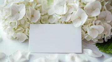 Bosquejo de un blanco tarjeta junto a blanco hortensia ramo, suave pastel tonos foto