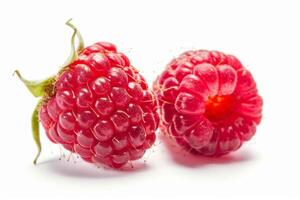 two ripe raspberries in sharp focus, contrasting against a white background photo