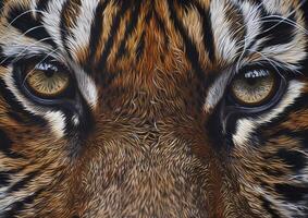 Close up eyes of Bengal tiger. photo