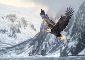 An eagle flying in pursuit of prey, showing the grandeur of nature and aerial mastery. photo