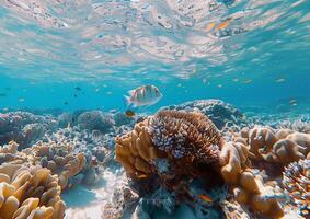 un vistoso coral arrecife rebosante con varios pescado especies generado por ai. foto