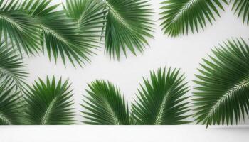 Aesthetic product backdrop, palm leaves photo