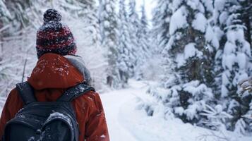 un persona caminando mediante un nevado bosque empaquetado arriba en calentar invierno engranaje en su camino a un remoto sauna. foto