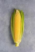 Fresh yellow ear of corn with green leaves on gray texture background photo