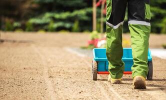 Residential Garden Grass Seeding photo