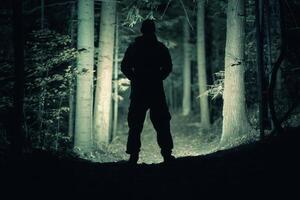 Forest Search Using Powerful Flashlight photo